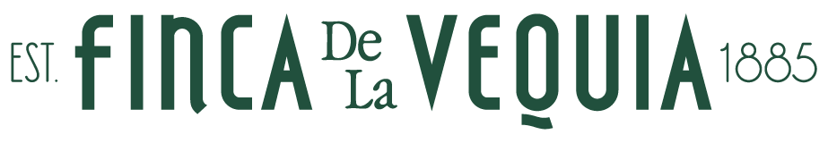 Finca de la Vequia patrocina Taza de Excelencia México 2026