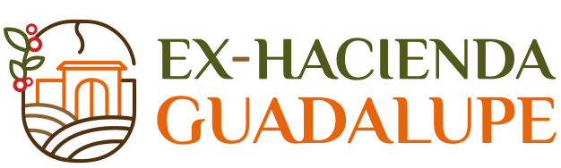 Ex-Hacienda Guadalupe Ex-Hacienda Guadalupe patrocina Taza de Excelencia México 2026